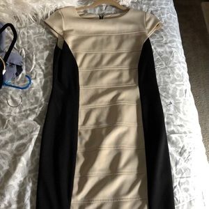 sandra darren dress